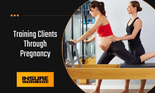 Training Clients Through Pregnancy